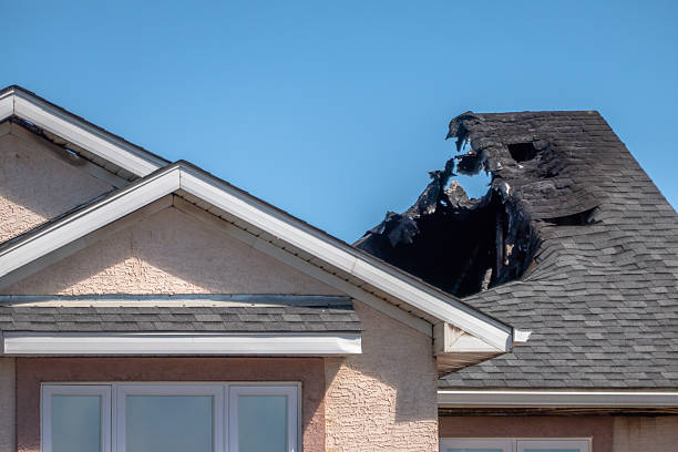 Top rated local Soot Cleanup specialists in Alexandria, VA